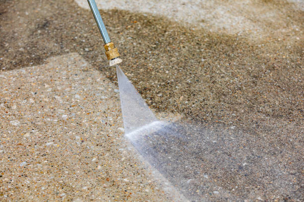 Animal Enclosure Cleaning in Hazlehurst, GA